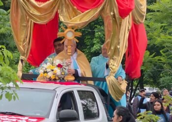 RÍO BLANCO: MILES DE FIELES RENOVARON SU FE JUNTO A LA VIRGEN EN LA PEREGRINACIÓN DE LOS ENFERMOS EN EL DÍA DE LA MADRE